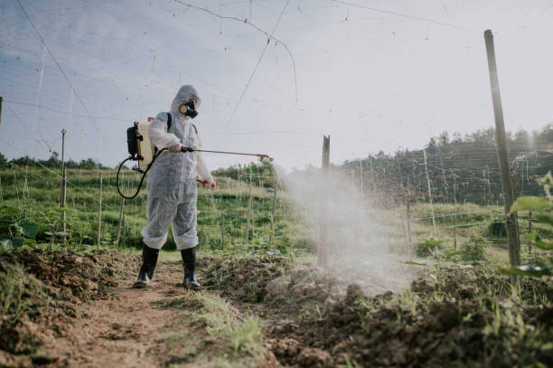 Best Best Pest Control Companies  in Bostonia, CA
