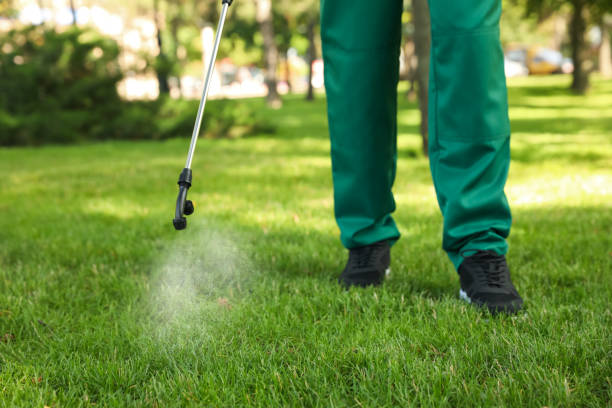 Best Pest Control for Restaurants  in Bostonia, CA