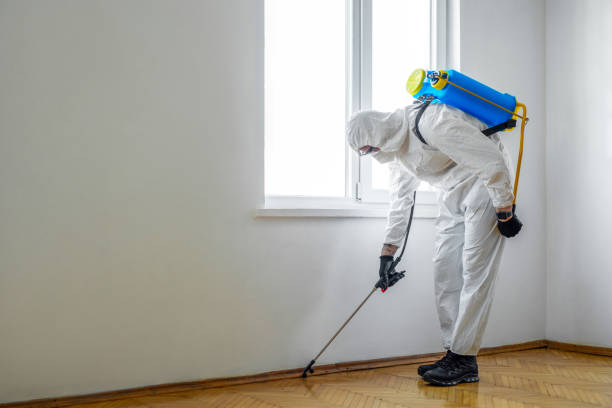 Best Residential Pest Control  in Bostonia, CA