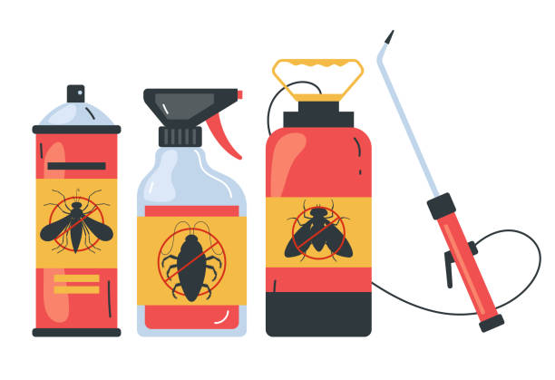 Best Insect Control  in Bostonia, CA