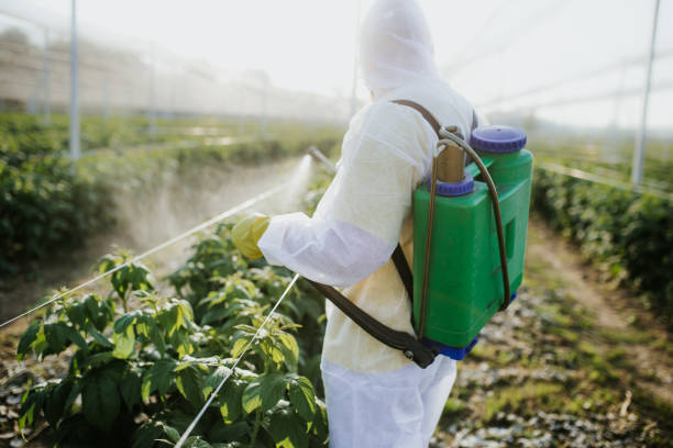 Pest Control for Restaurants in Bostonia, CA